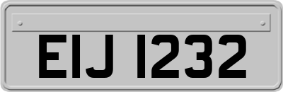 EIJ1232