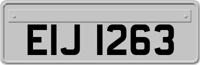 EIJ1263