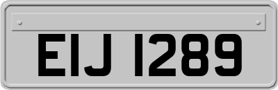 EIJ1289