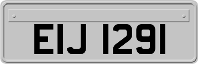 EIJ1291