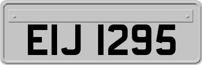 EIJ1295