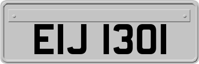 EIJ1301