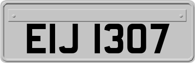 EIJ1307