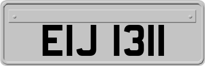 EIJ1311