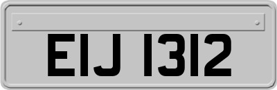 EIJ1312