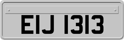 EIJ1313