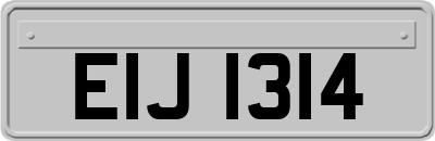 EIJ1314
