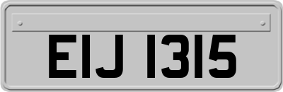 EIJ1315