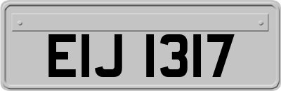 EIJ1317