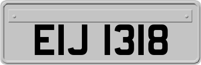 EIJ1318