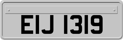 EIJ1319
