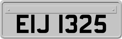 EIJ1325