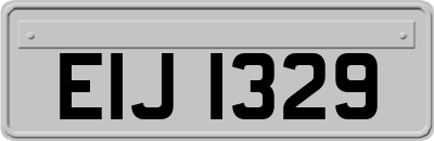 EIJ1329