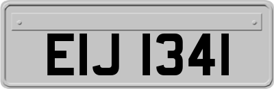 EIJ1341