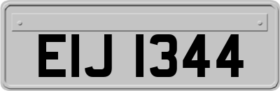 EIJ1344