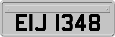 EIJ1348