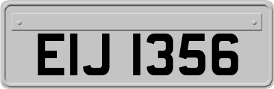 EIJ1356