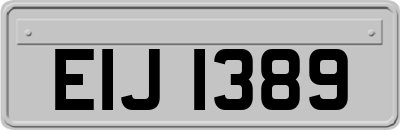 EIJ1389