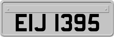 EIJ1395