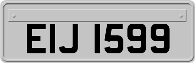 EIJ1599
