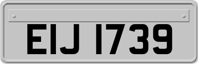 EIJ1739