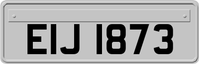 EIJ1873