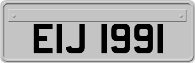 EIJ1991