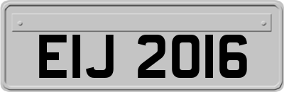 EIJ2016