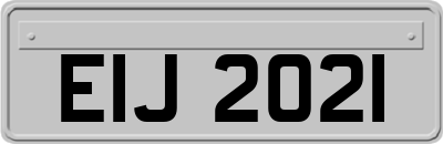 EIJ2021