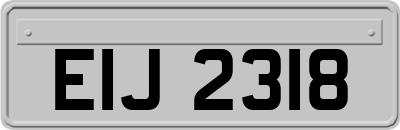 EIJ2318