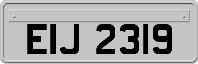 EIJ2319