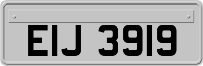 EIJ3919