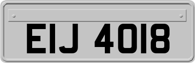 EIJ4018