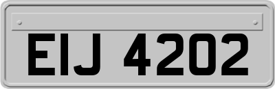 EIJ4202