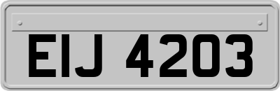 EIJ4203