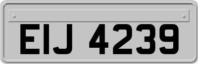 EIJ4239