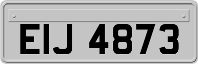 EIJ4873