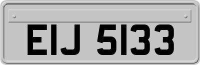 EIJ5133