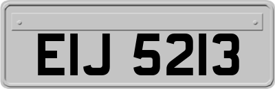 EIJ5213