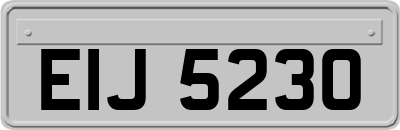 EIJ5230