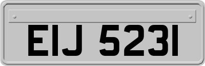 EIJ5231