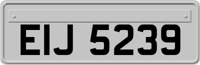 EIJ5239