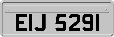 EIJ5291