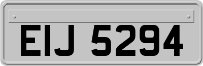 EIJ5294