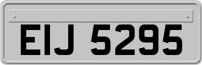 EIJ5295