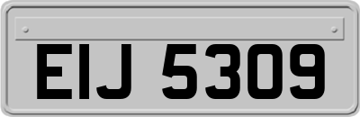 EIJ5309