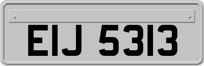 EIJ5313