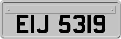 EIJ5319