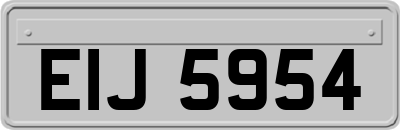 EIJ5954