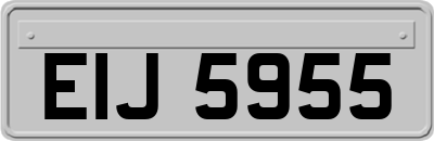 EIJ5955